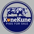 KuneKune Pigs For Sale logo